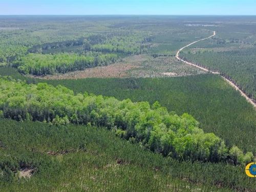 Lynches Tract : Cassatt : Kershaw County : South Carolina