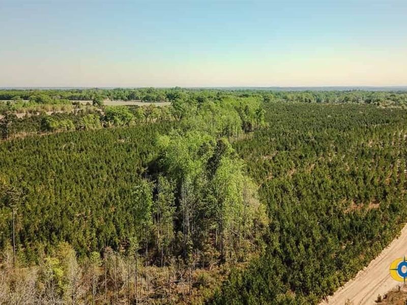 McBee Highway North Tract : Jefferson : Kershaw County : South Carolina