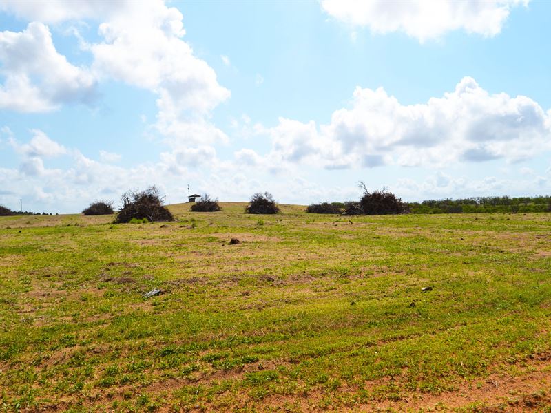 Garfield Nursery Road 20 Acres : Lake Wales : Polk County : Florida