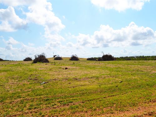 Garfield Nursery Road 20 Acres : Lake Wales : Polk County : Florida