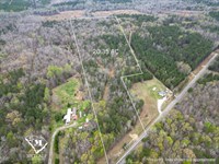 20 Acre Wooded Homesite in Donalds : Donalds : Abbeville County : South Carolina