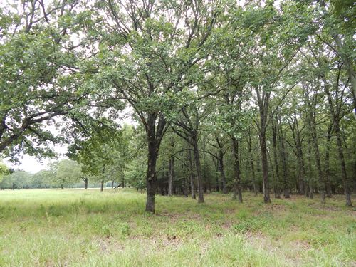 Beautiful Off Grid Land Bagwell, TX : Bagwell : Red River County : Texas
