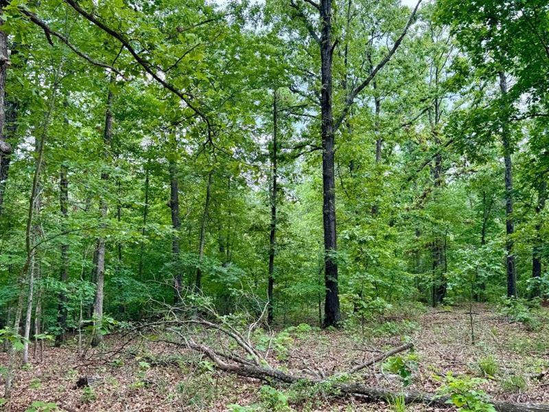 Skylark 20 : Washburn : McDonald County : Missouri