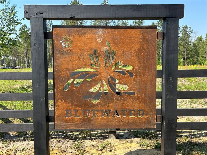 Bluewater Country Lot 1 : Dexter : Laurens County : Georgia