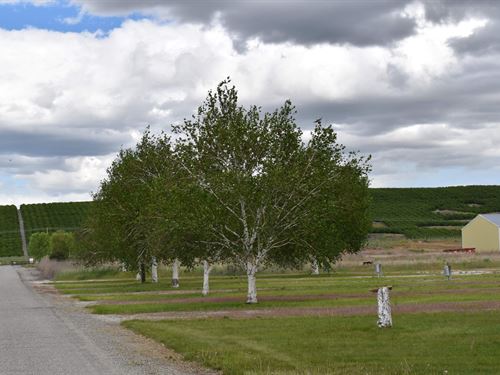 Brewster 709 Acres : Brewster : Okanogan County : Washington