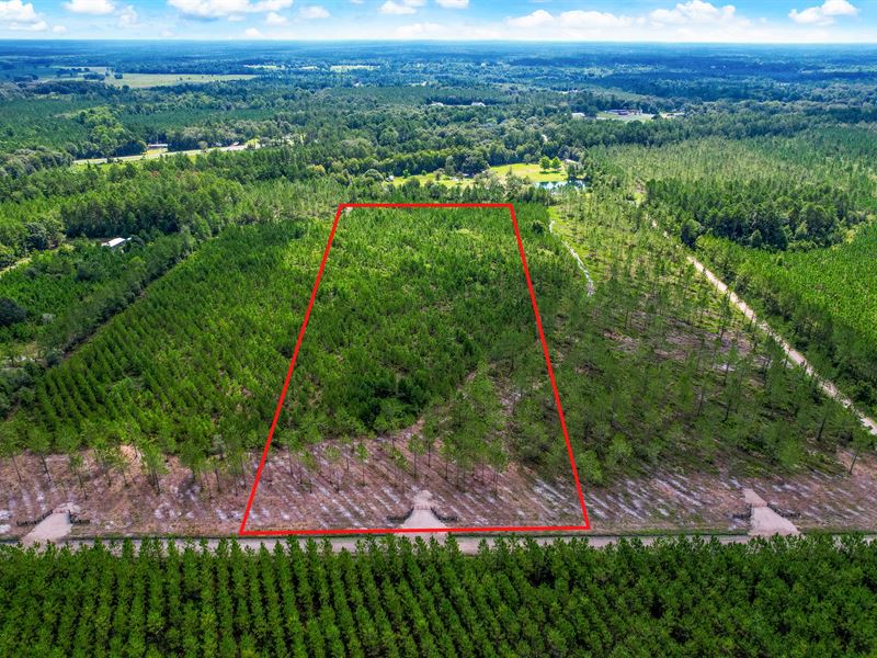 Tranquility in Bay Farms Lot 8 : Hilliard : Nassau County : Florida