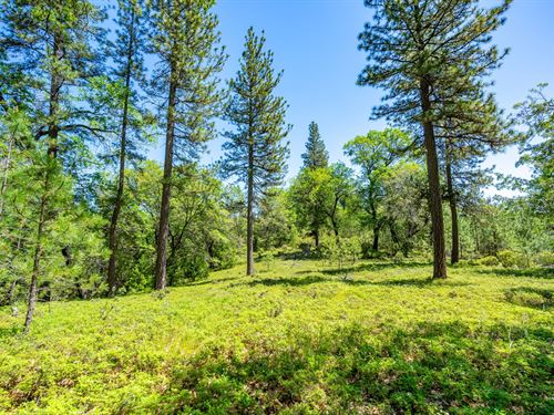 Ashland Creek Ranch : Pioneer : Amador County : California