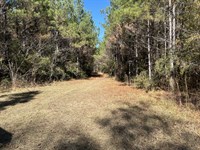 Dwain Road : Magnolia : Amite County : Mississippi