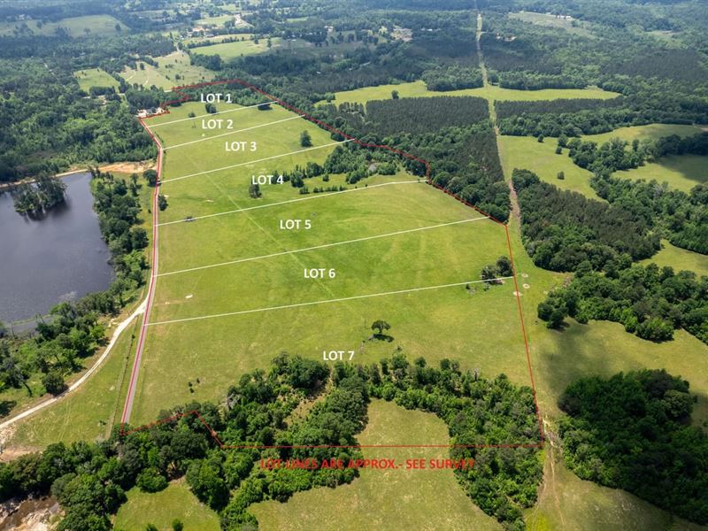 Oak Ridge Estates : Harleton : Harrison County : Texas