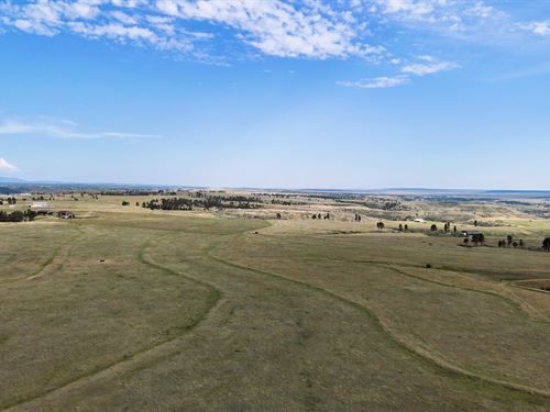 Tower Lookout Ranch : Moorcroft : Crook County : Wyoming