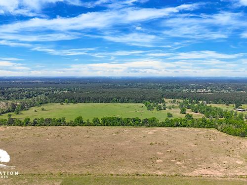Dayton Tract 14, Only $15K Down : Dayton : Liberty County : Texas