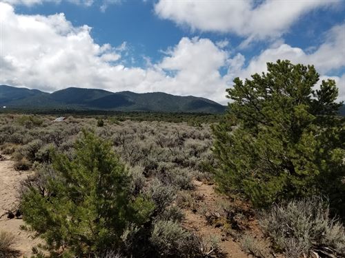 Mountain Views Near Fort Garland : Fort Garland : Costilla County : Colorado