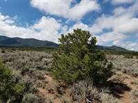 Mountain Views Near Fort Garland : Fort Garland : Costilla County : Colorado