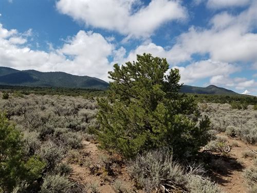 Mountain Views Near Fort Garland : Fort Garland : Costilla County : Colorado