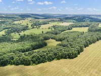 102 Acres in The Heart of Arkansas : Leslie : Van Buren County : Arkansas