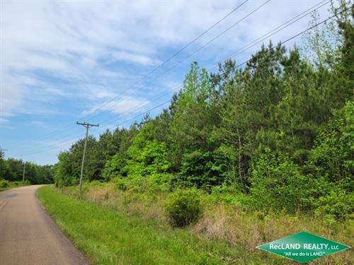 22.5 Ac Wooded Tract for Homesite : Crossett : Ashley County : Arkansas