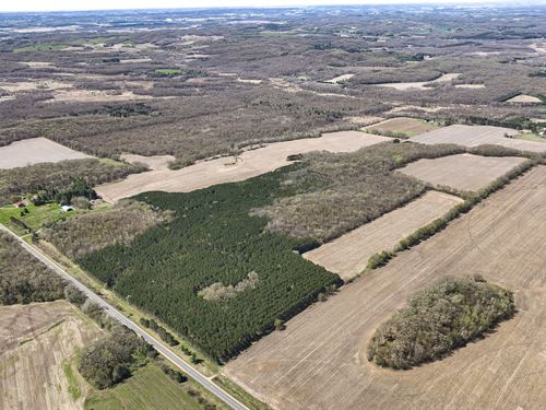 79 Acres Eau Claire County : Eleva : Eau Claire County : Wisconsin