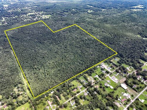 310 Acres Ellis Lane : Vidor : Orange County : Texas