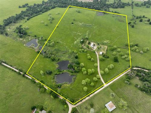 55 Acres, T-14 County Road 3620 : Lovelady : Houston County : Texas