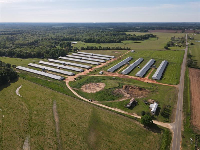 Crossroads Broiler Farm : Headland : Henry County : Alabama