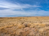 Gorgeous Land Near Colorado Springs : Fountain : El Paso County : Colorado