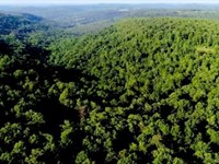 Treed Lot for Building or Investing : Huntsville : Madison County : Arkansas