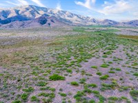 Adjacent to National Forest : Cochise : Arizona