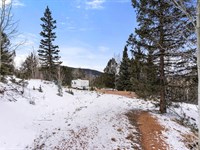 6.45 Acres with Creek and Power : Cripple Creek : Teller County : Colorado