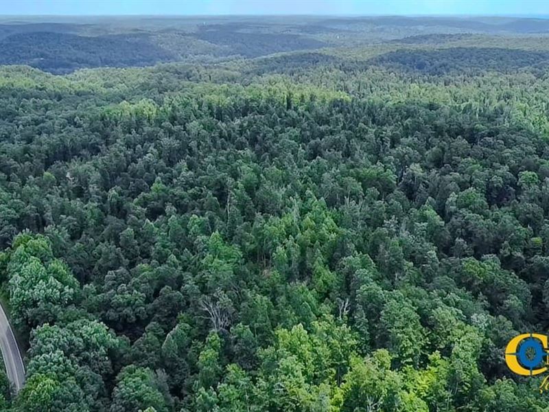 Elder Tract South : Linden : Perry County : Tennessee