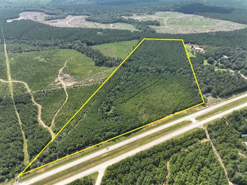 44 Acres, T-1 Highway 96 28705 : Erin : Jasper County : Texas