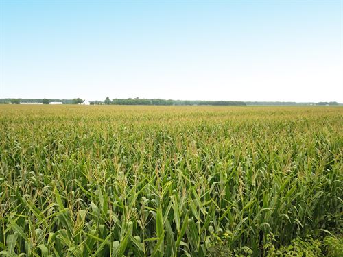 62 Acres, Dodge County Irrigated : North Bend : Dodge County : Nebraska