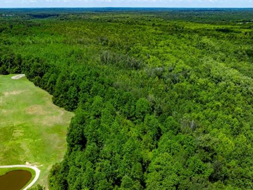 Tobesofkee Creek : Macon : Bibb County : Georgia