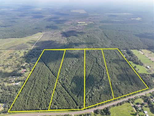39 Acres, T-2 FM 2802 287077 : Vidor : Orange County : Texas
