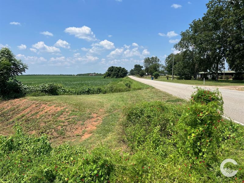 226+/- Acre Investment Opportunity : Brewton : Escambia County : Alabama