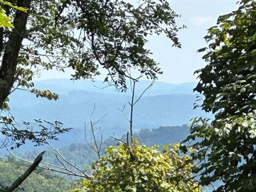 High Elevation Acreage : Independence : Grayson County : Virginia