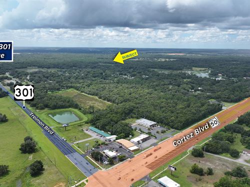 Hernando County 275 Acres : Dade City : Hernando County : Florida