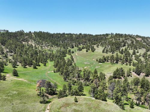 96 Acres, Dawes County, Mule Deer : Crawford : Dawes County : Nebraska