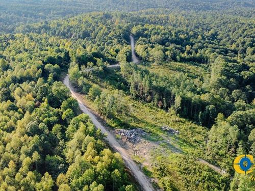 Highway 232 South 1 : Stewart : Tennessee