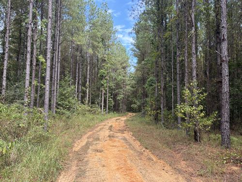 Puss Cuss Creek Tract : Silas : Choctaw County : Alabama