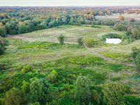 Recreational Hunting Land Winnsboro : Winnsboro : Wood County : Texas