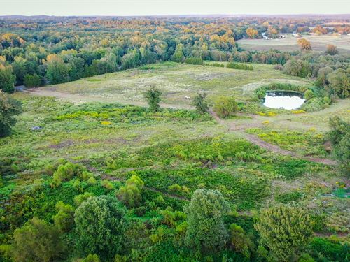 Recreational Hunting Land Winnsboro : Winnsboro : Wood County : Texas