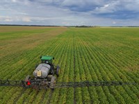 Irrigated Farm for Sale, Louisiana : Tallulah : Madison Parish : Louisiana