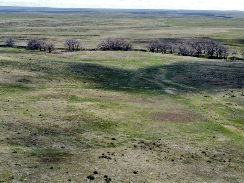 Willow Gulch Ranches : Deer Trail : Elbert County : Colorado