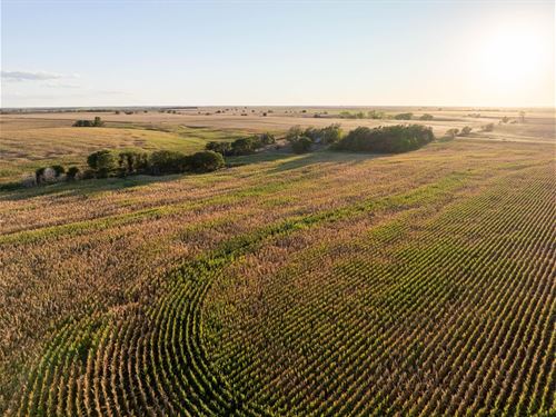 Jewell County Quarter : Jewell : Kansas