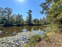 1,726 Acres Neches River Front : Weches : Cherokee County : Texas