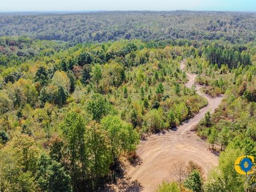 Hurricane Southeast Tract 2 : Stewart : Tennessee