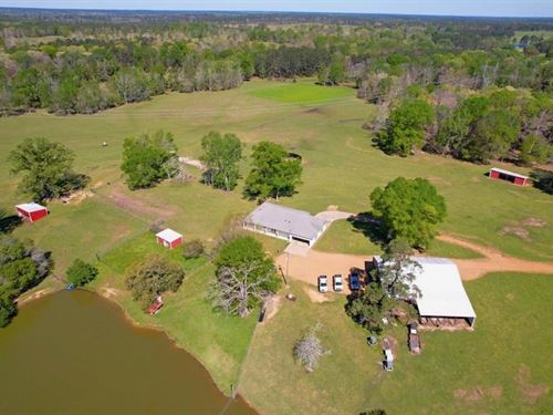 177 Acres of Land With 3 BR Hunting : Liberty : Amite County : Mississippi