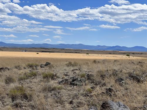 Canvas Of Adventures : Concho : Apache County : Arizona