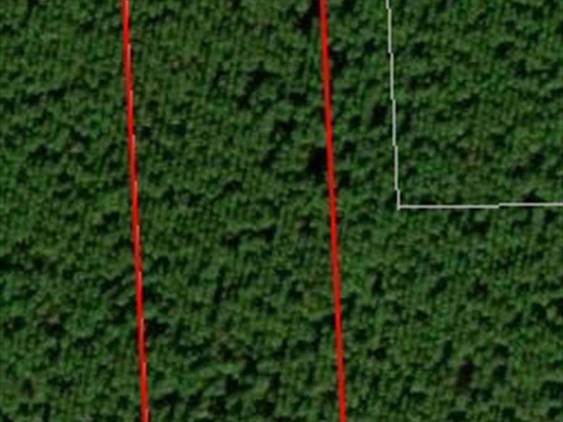 Andrew's Grove Lot 3 : Hilliard : Nassau County : Florida