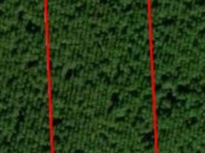 Andrew's Grove Lot 5 : Hilliard : Nassau County : Florida